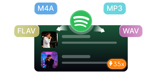 TopVox Spotify Music Converter