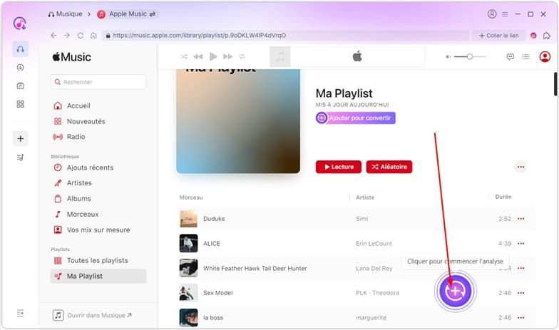 Ajouter les pistes ou la playlist à convertir dans TopVox All Music Converter