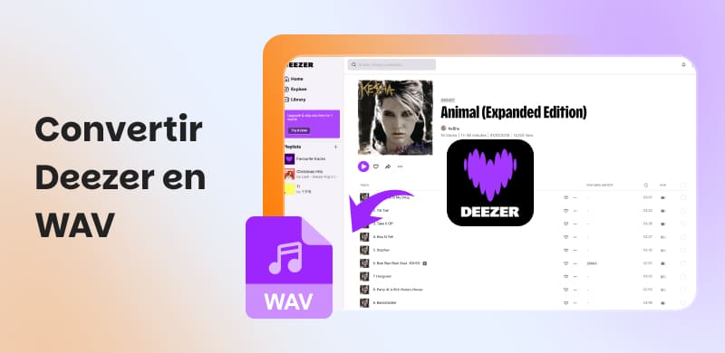 Convertir la musique Deezer en WAV