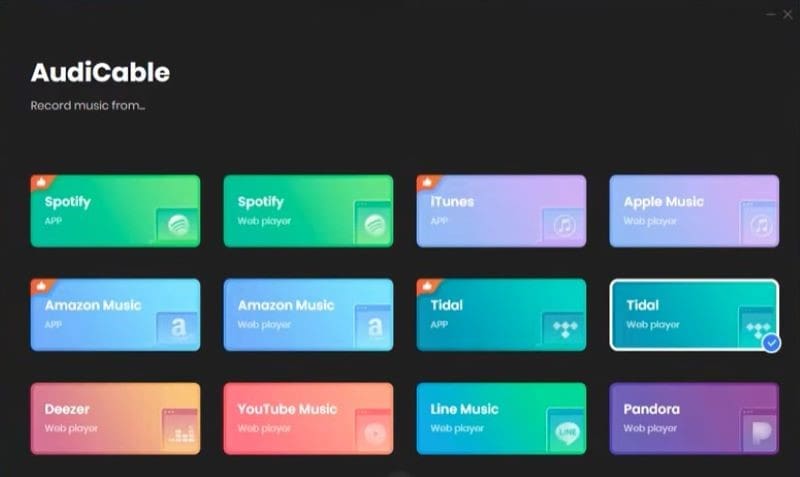 AudiCable Audio Recorder