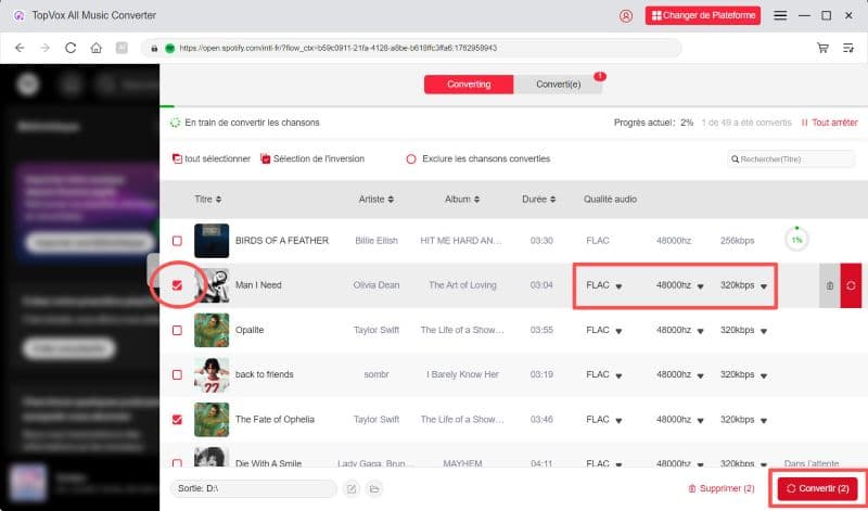 Vérifier le format et lancer la conversion