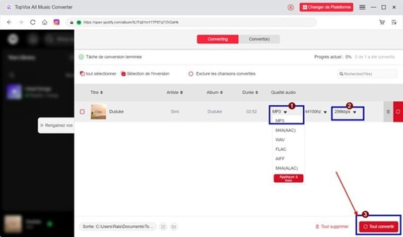 Choisir le format et la qualité de sortie sur TopVox All Music Converter