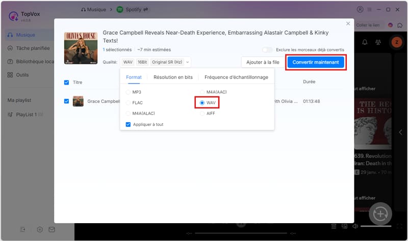 Choisir le format et la qualité de sortie sur TopVox All Music Converter