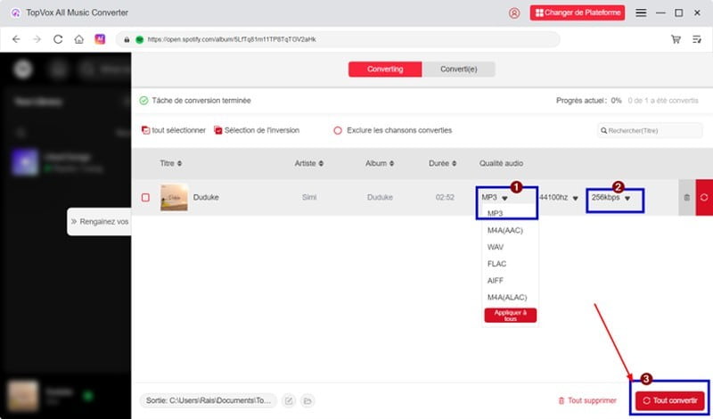 Choisir le format et la qualité de sortie sur TopVox All Music Converter