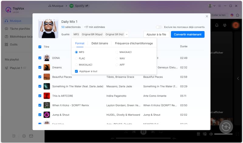 Choisir le format et la qualité de sortie sur TopVox All Music Converter