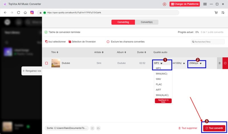 Choisir le format et la qualité de sortie sur TopVox All Music Converter