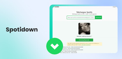 Avis de Spotidown